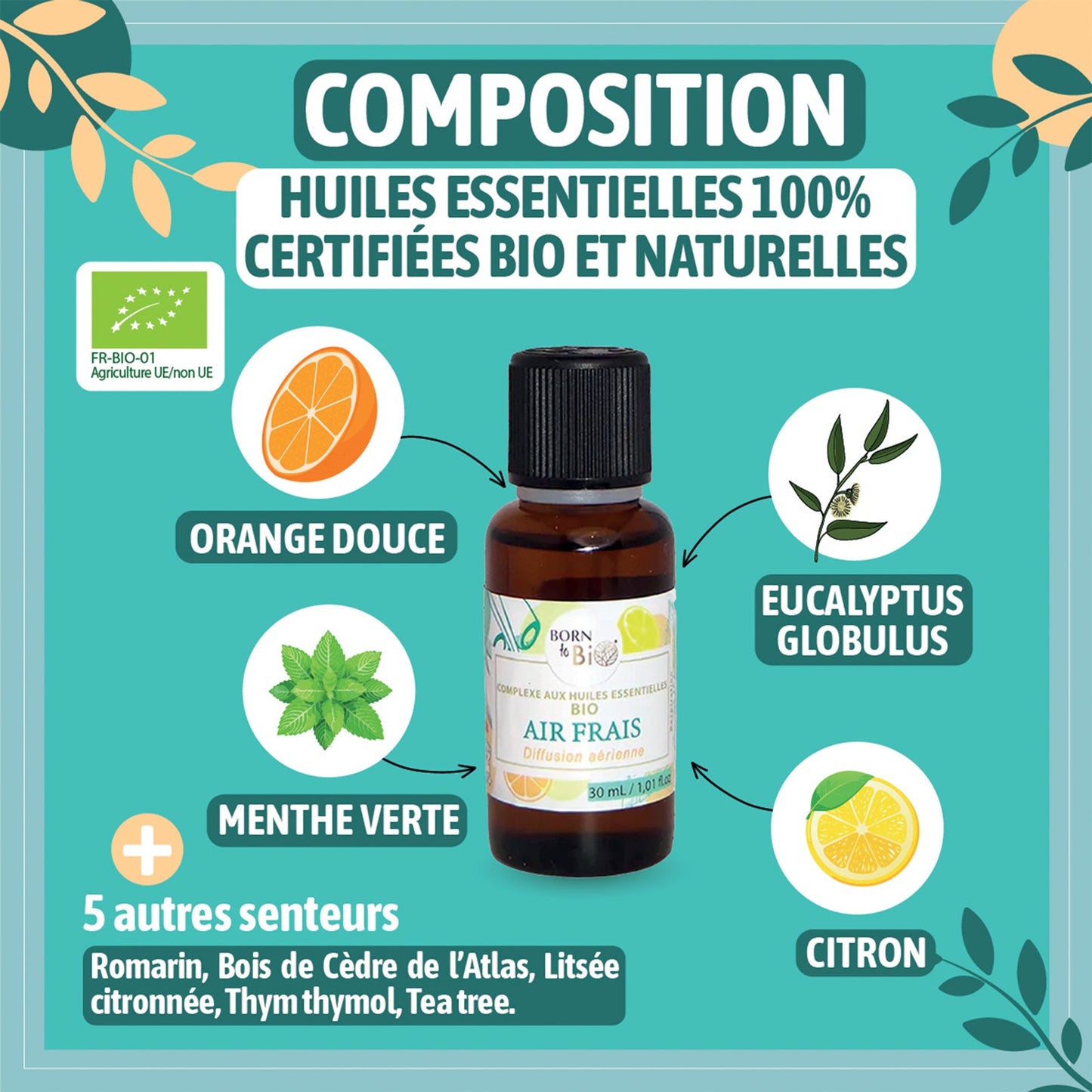 Air Frais - Complex with organic essential oils-2