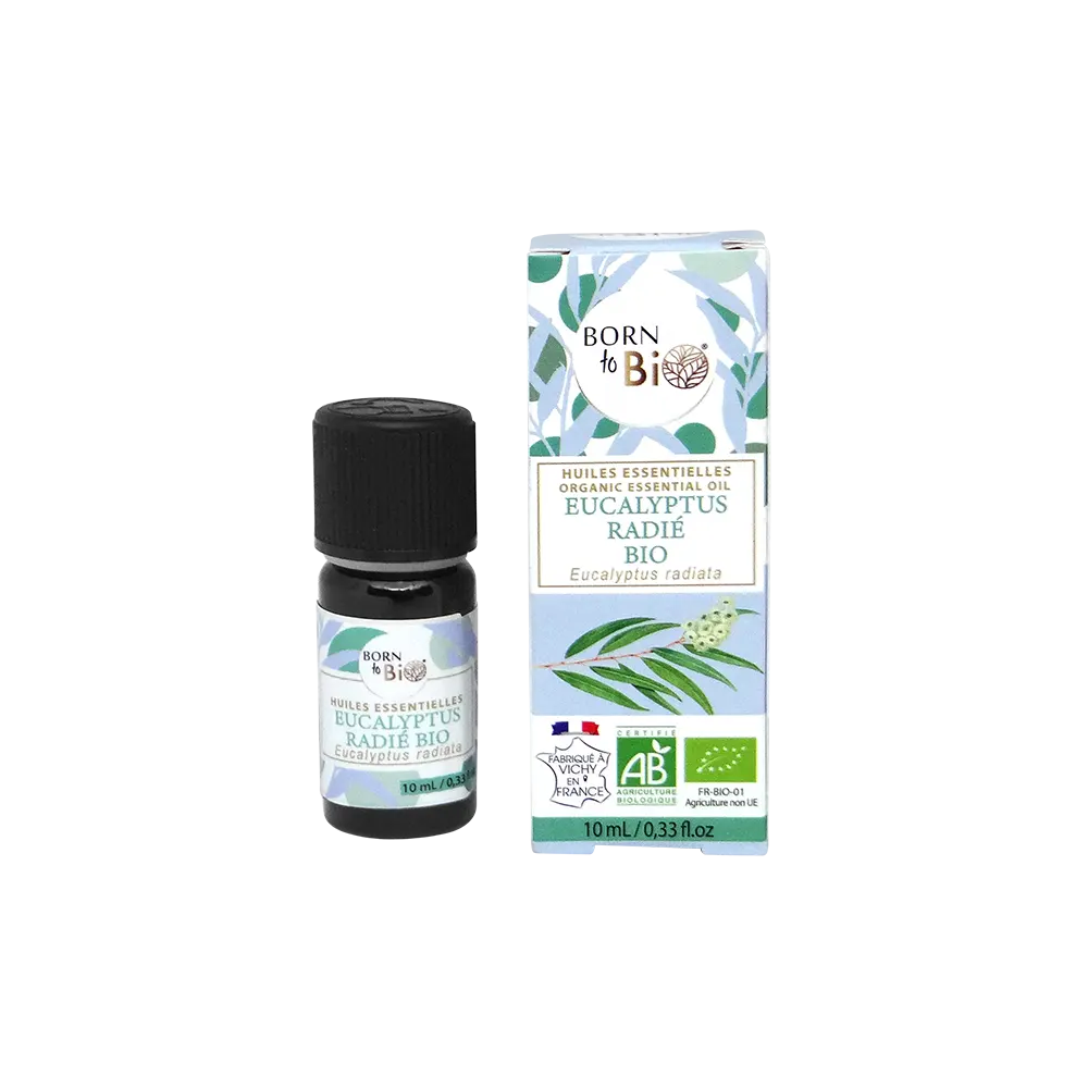 Organic radiated Eucalyptus essential oil-2