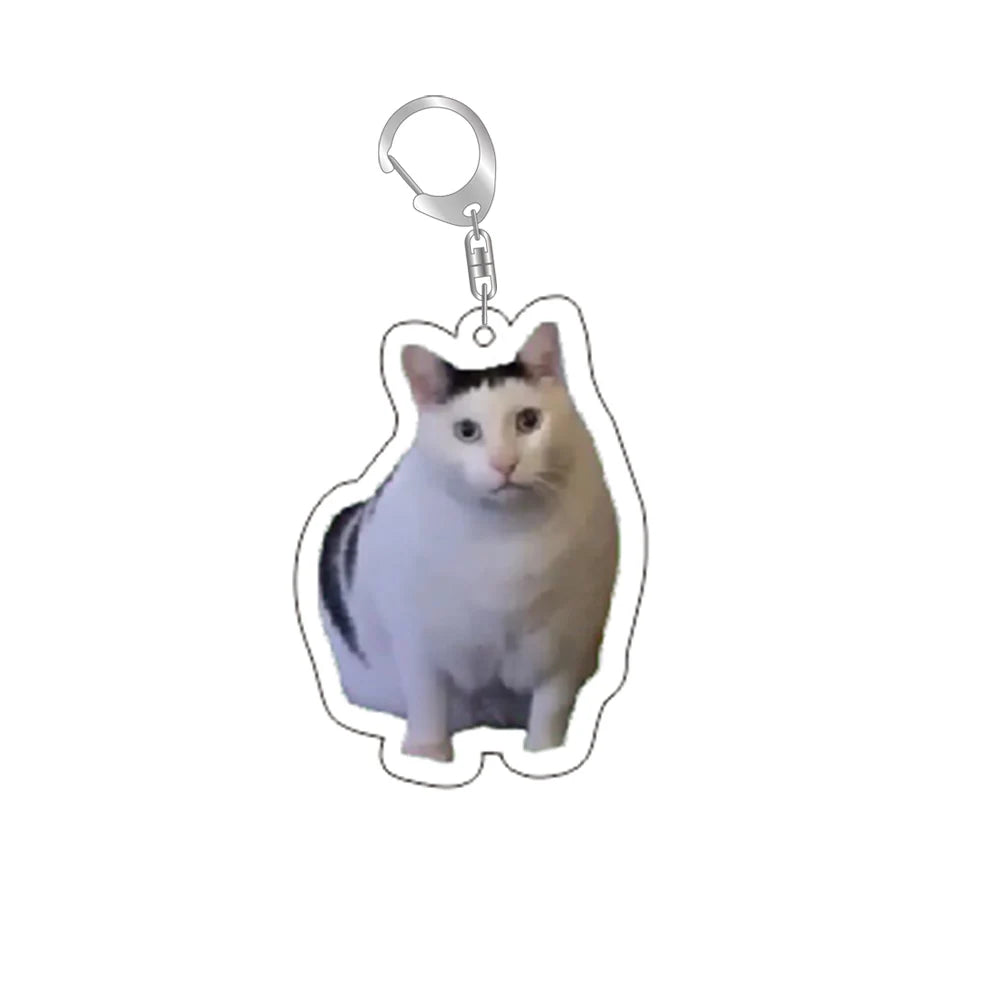 Schattige Grappige Kat Memes Sleutelhanger - Perfecte Studenten Gift, Stijlvolle Lanyard, Schattige Hanger voor Dameshandtassen, Betaalbaar Cadeau voor Je Beste Vrienden!