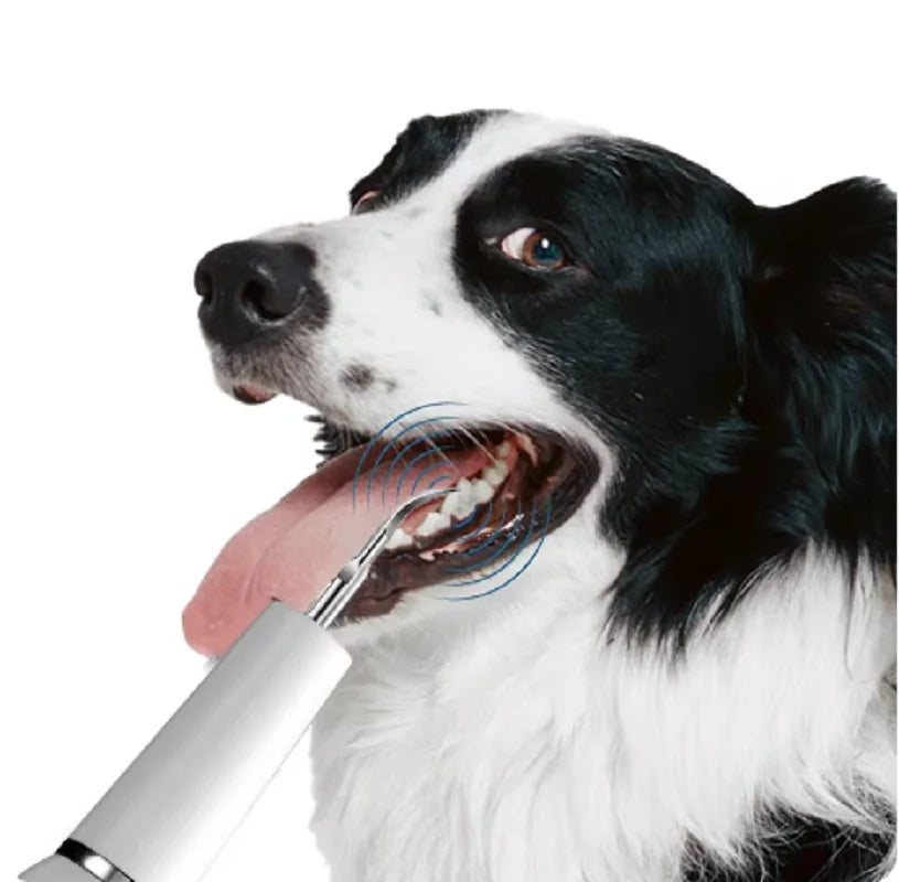 Revolutionaire Ultrasone Tandreinigers voor Huisdieren – Verwijder Moeiteloos Tandplak en Vlekken van de Tanden van Uw Hond en Kat!