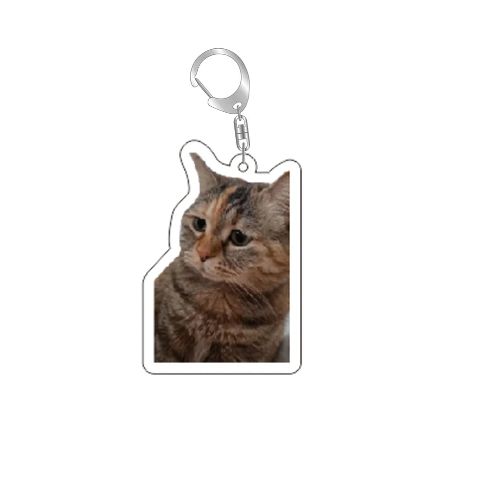 Schattige Grappige Kat Memes Sleutelhanger - Perfecte Studenten Gift, Stijlvolle Lanyard, Schattige Hanger voor Dameshandtassen, Betaalbaar Cadeau voor Je Beste Vrienden!