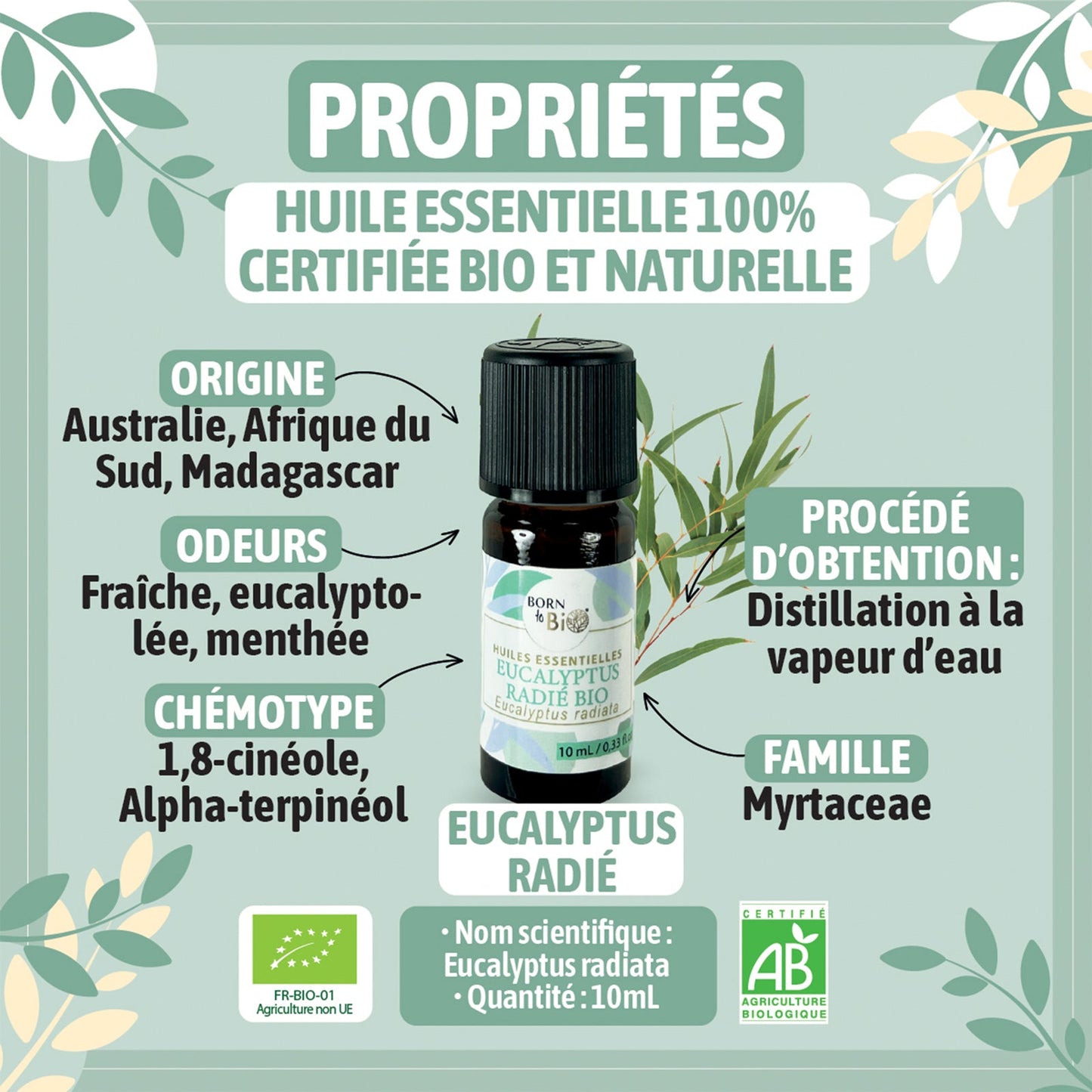 Organic radiated Eucalyptus essential oil-1