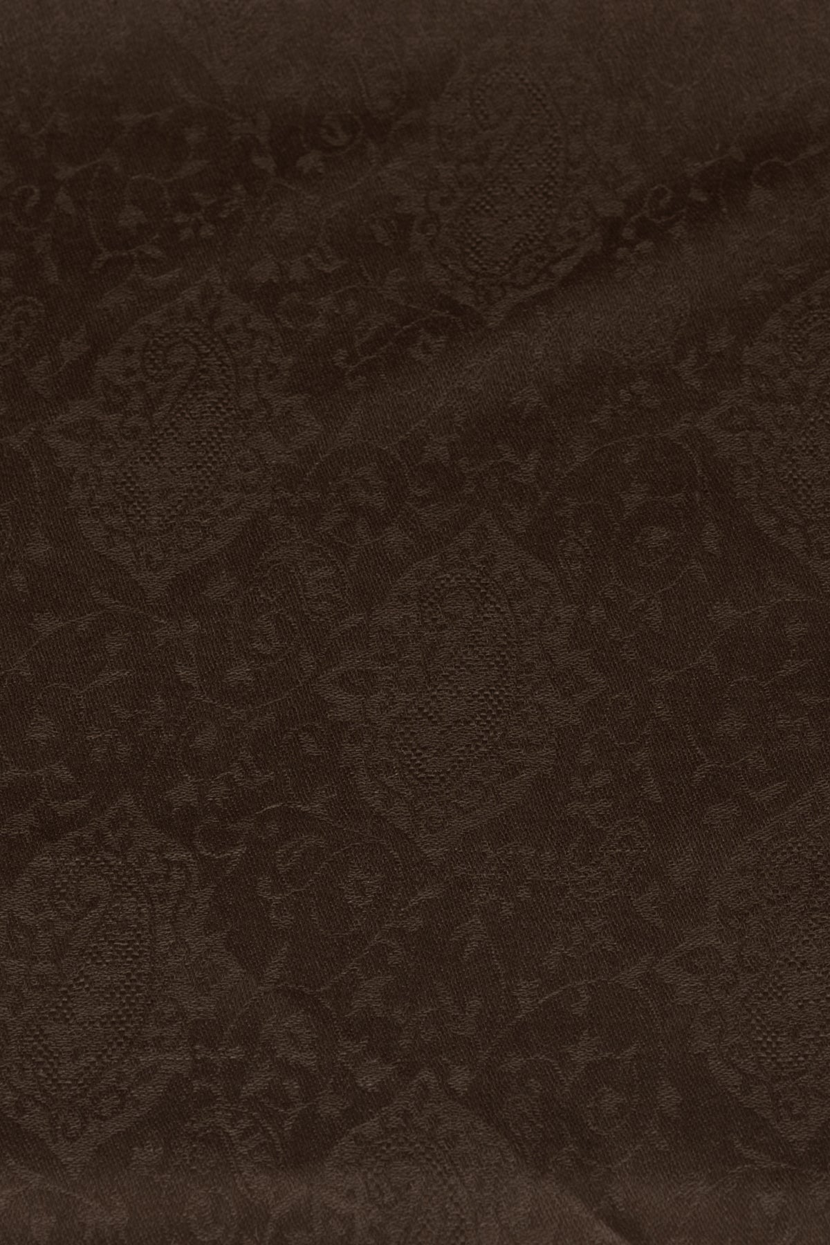 Paisley Jacquard Weave Cashmere Wool Scarf - Brown-2