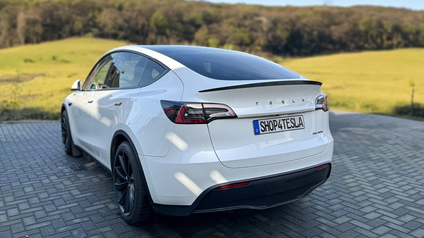 Tesla Schriftzug für alle Tesla Modelle-4