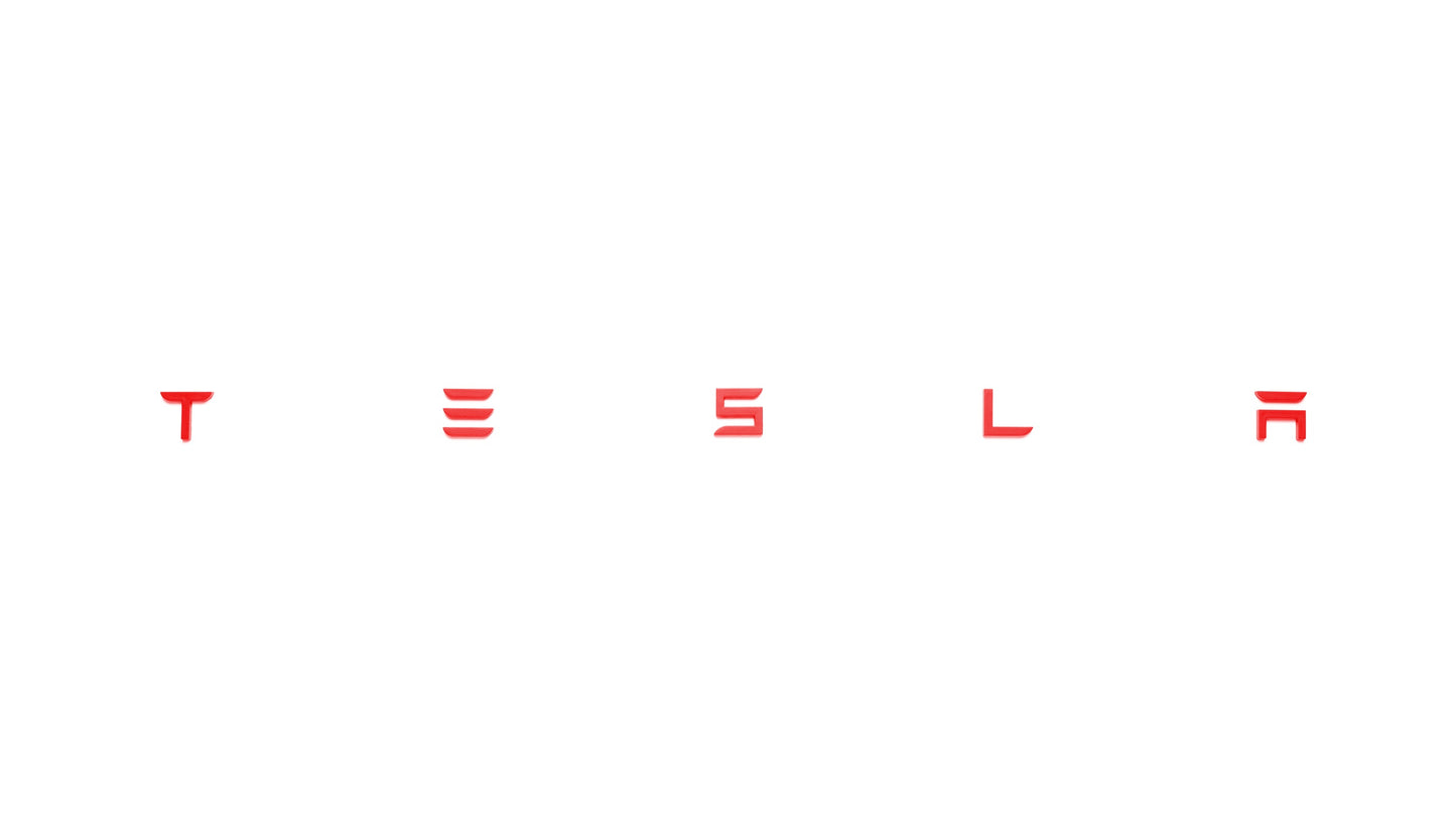 Tesla Schriftzug für alle Tesla Modelle-6