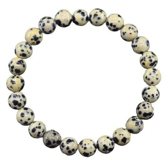 Stylish Dalmatian Jasper Bracelet