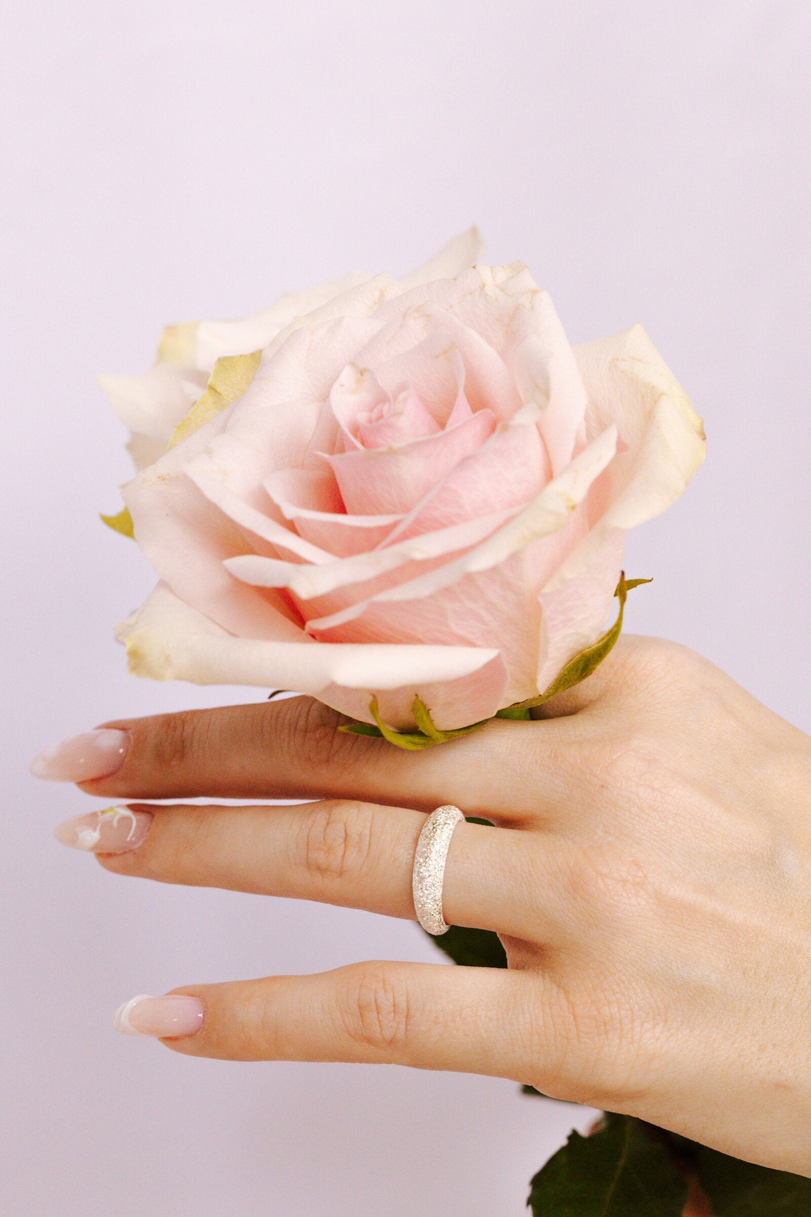 Struttura Ring-1