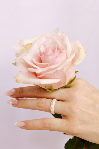 Struttura Ring-1