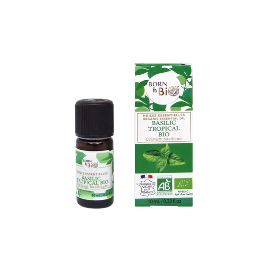 Organic tropical basil essential oil-0