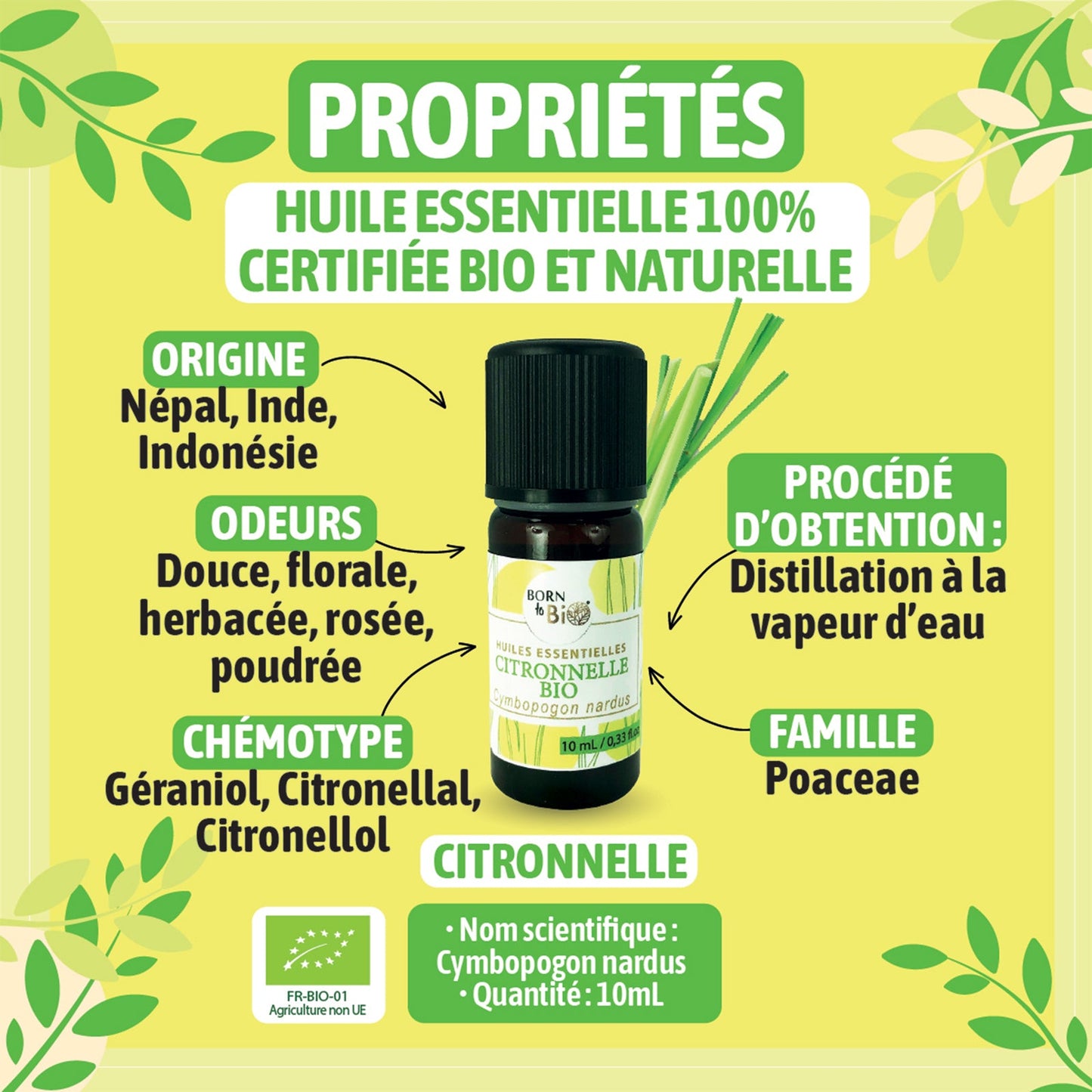 Organic Lemongrass essential oil-1