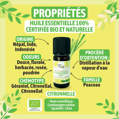 Organic Lemongrass essential oil-1
