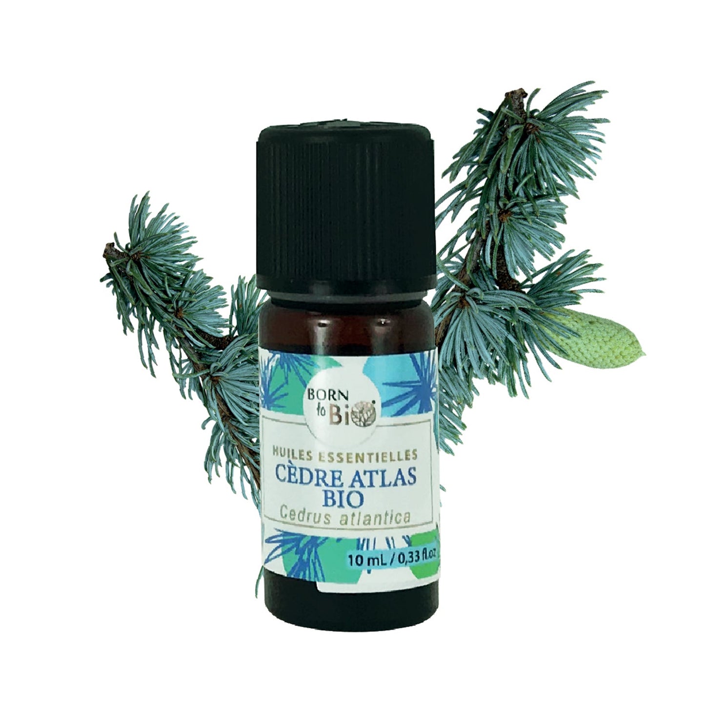 Organic Atlas Cedar essential oil-0