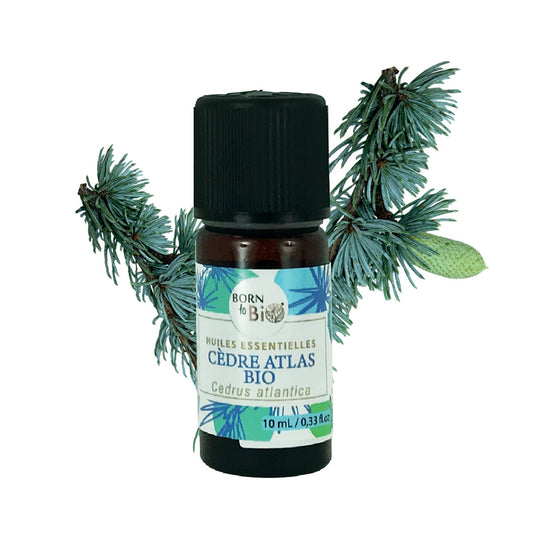 Organic Atlas Cedar essential oil-0