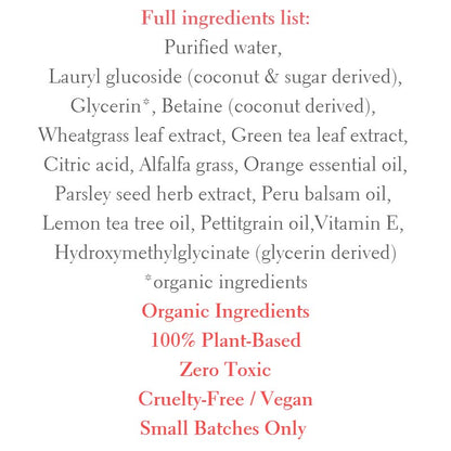 Daily Boost Hydrating Cleanser-2