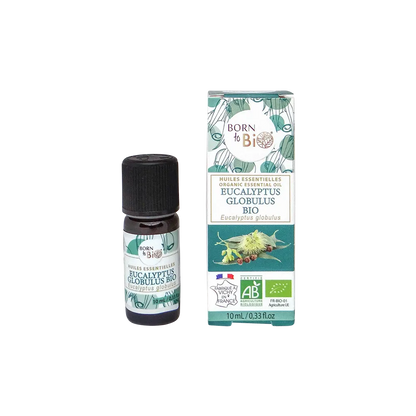 Organic Eucalyptus globulus essential oil-0