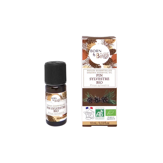 Organic Scots Pine essential oil-0