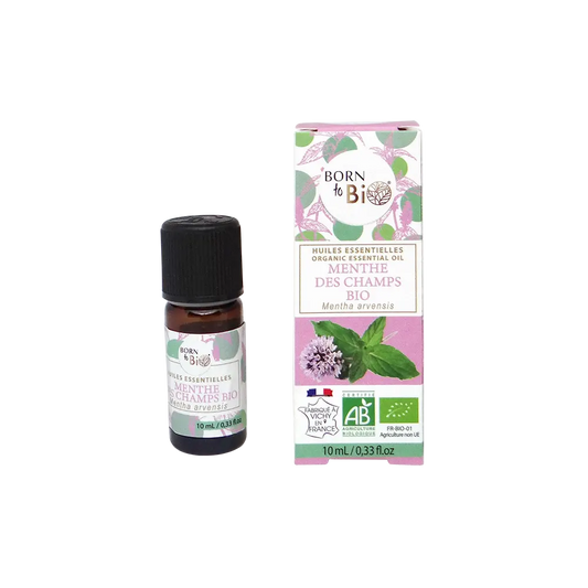 Organic Wild Mint essential oil-0
