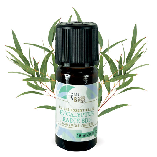 Organic radiated Eucalyptus essential oil-0