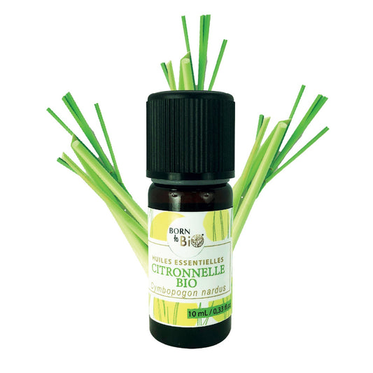 Organic Lemongrass essential oil-0