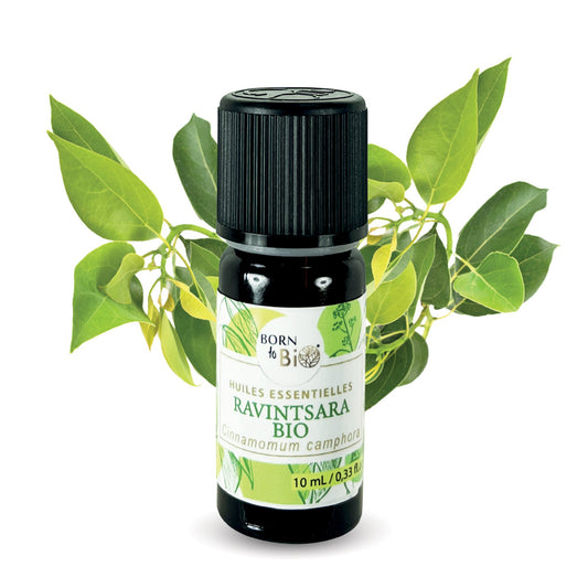 Ravintsara Organic essential oil-0