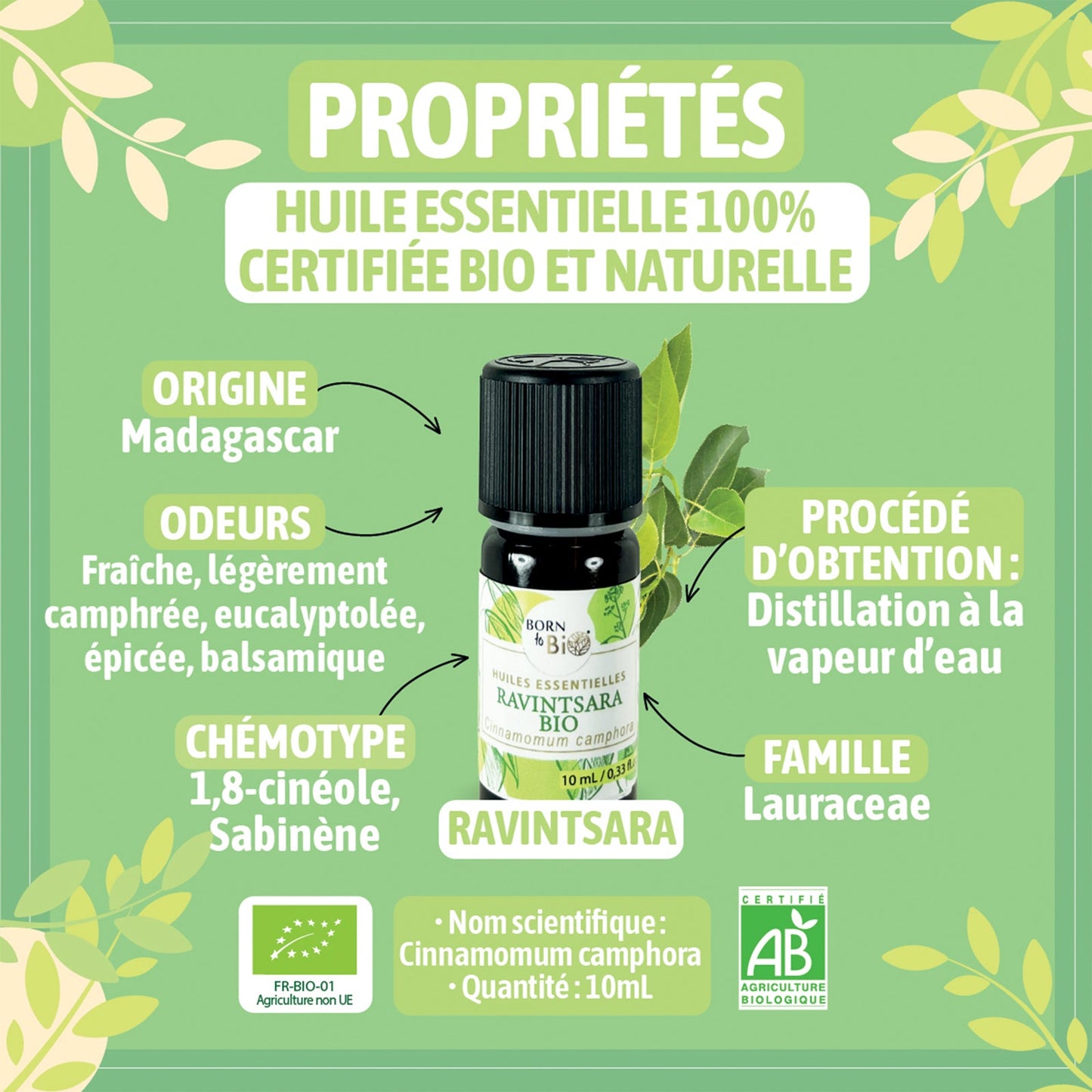 Ravintsara Organic essential oil-1