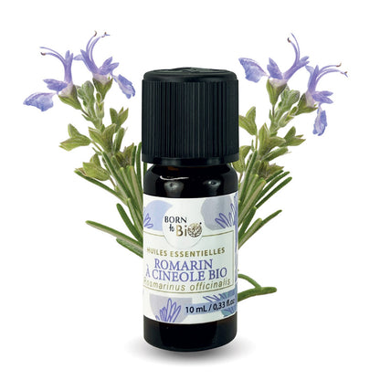 Organic Rosemary cineole essential oil-0