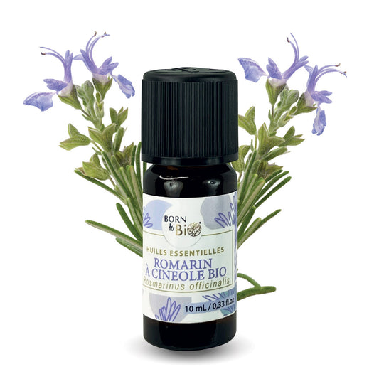 Organic Rosemary cineole essential oil-0