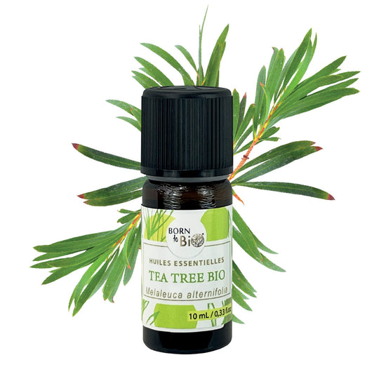 Organic Tea tree essential oil-0