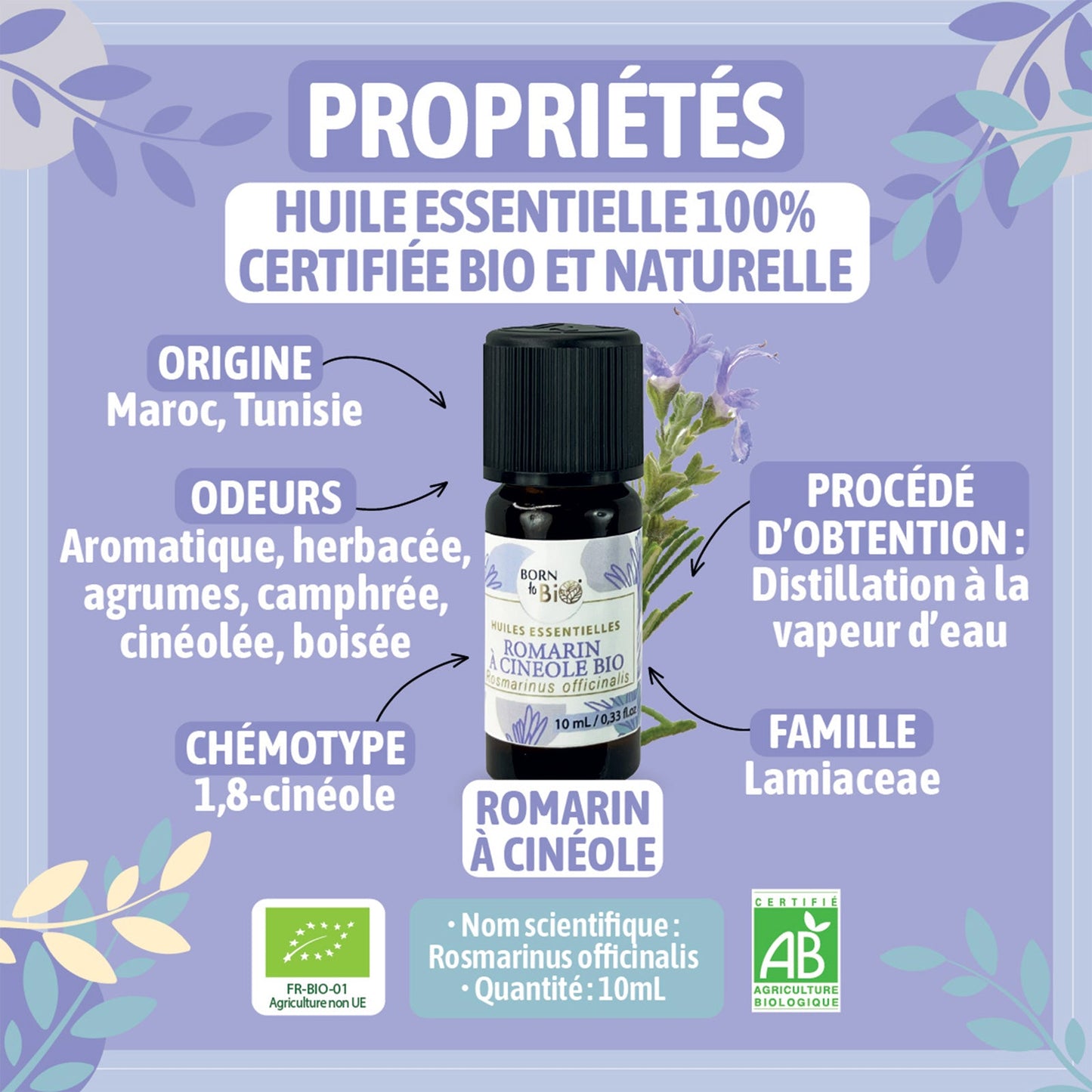 Organic Rosemary cineole essential oil-1
