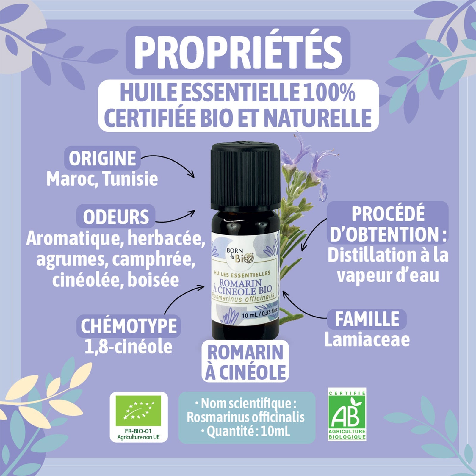 Organic Rosemary cineole essential oil-1