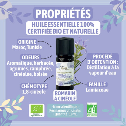 Organic Rosemary cineole essential oil-1