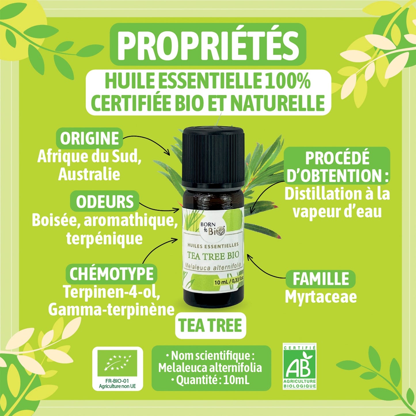 Organic Tea tree essential oil-1