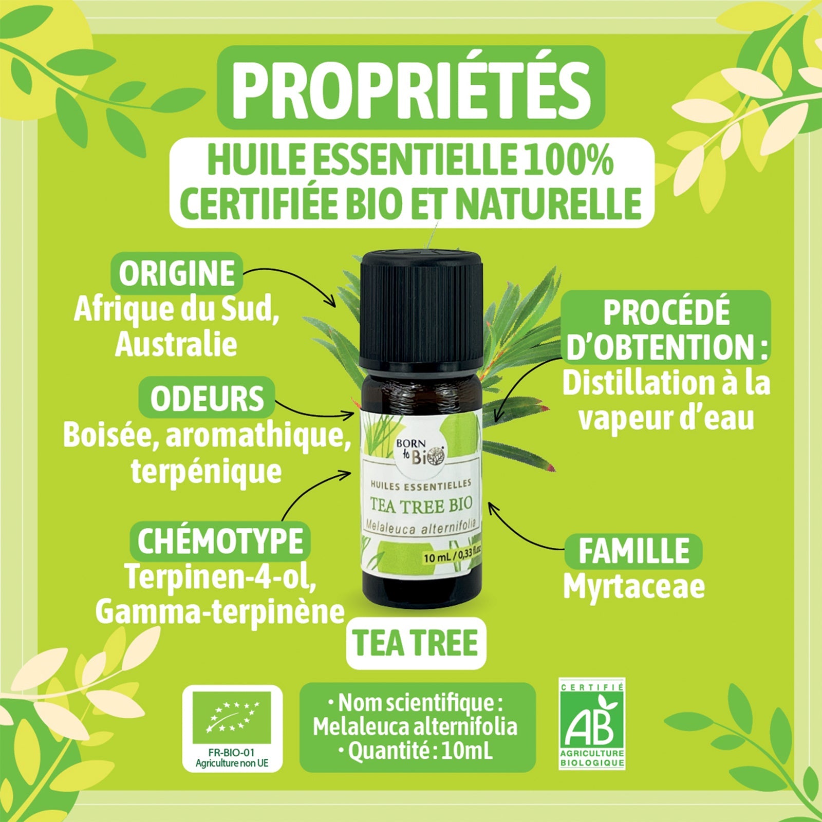 Organic Tea tree essential oil-1