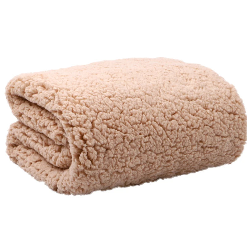 Lamb Velvet Fabric Thick Winter Plush Super Soft Teddy Fabric Sewing Material for Coats Jackets Blankets DIY