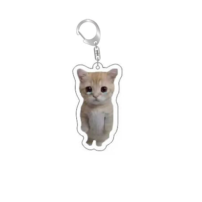 Schattige Grappige Kat Memes Sleutelhanger - Perfecte Studenten Gift, Stijlvolle Lanyard, Schattige Hanger voor Dameshandtassen, Betaalbaar Cadeau voor Je Beste Vrienden!