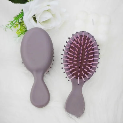 Mini Ontwarmer Haarborstel - Draagbare Antistatische Massager voor Vochtig of Droog Stylen - Perfect Salonaccessoire!