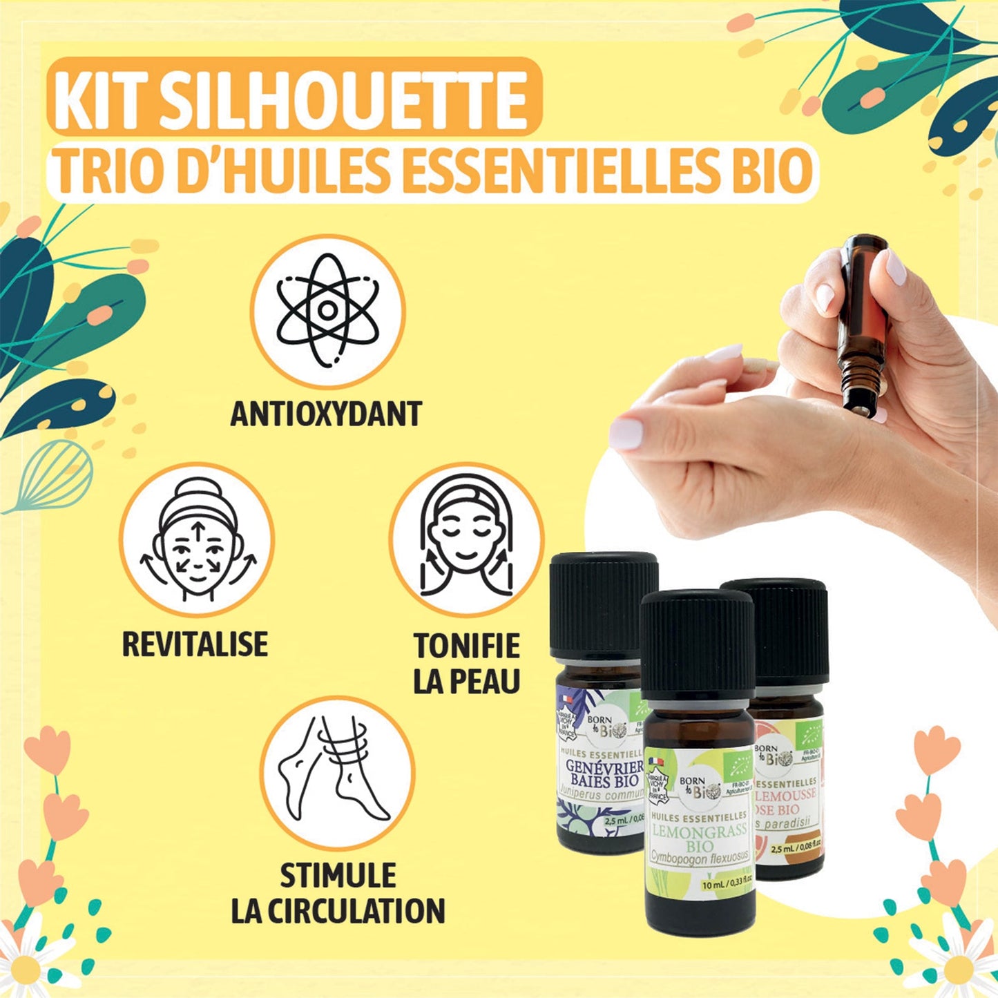 Silhouette theme box-1
