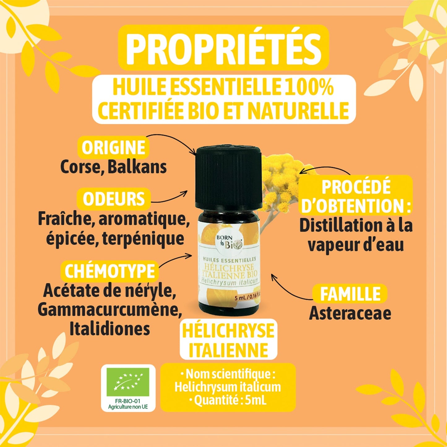 Organic Italian Helichrysum essential oil-1