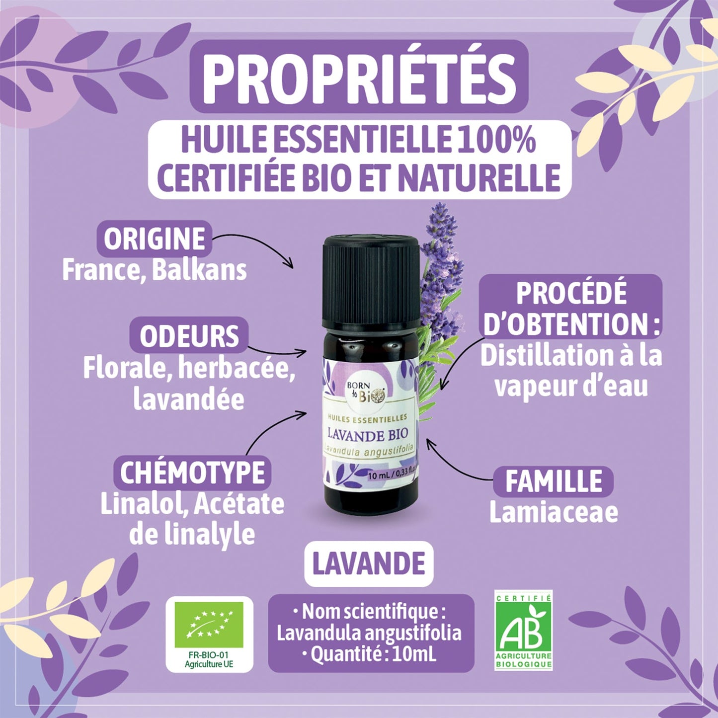 Organic Lavender essential oil-1