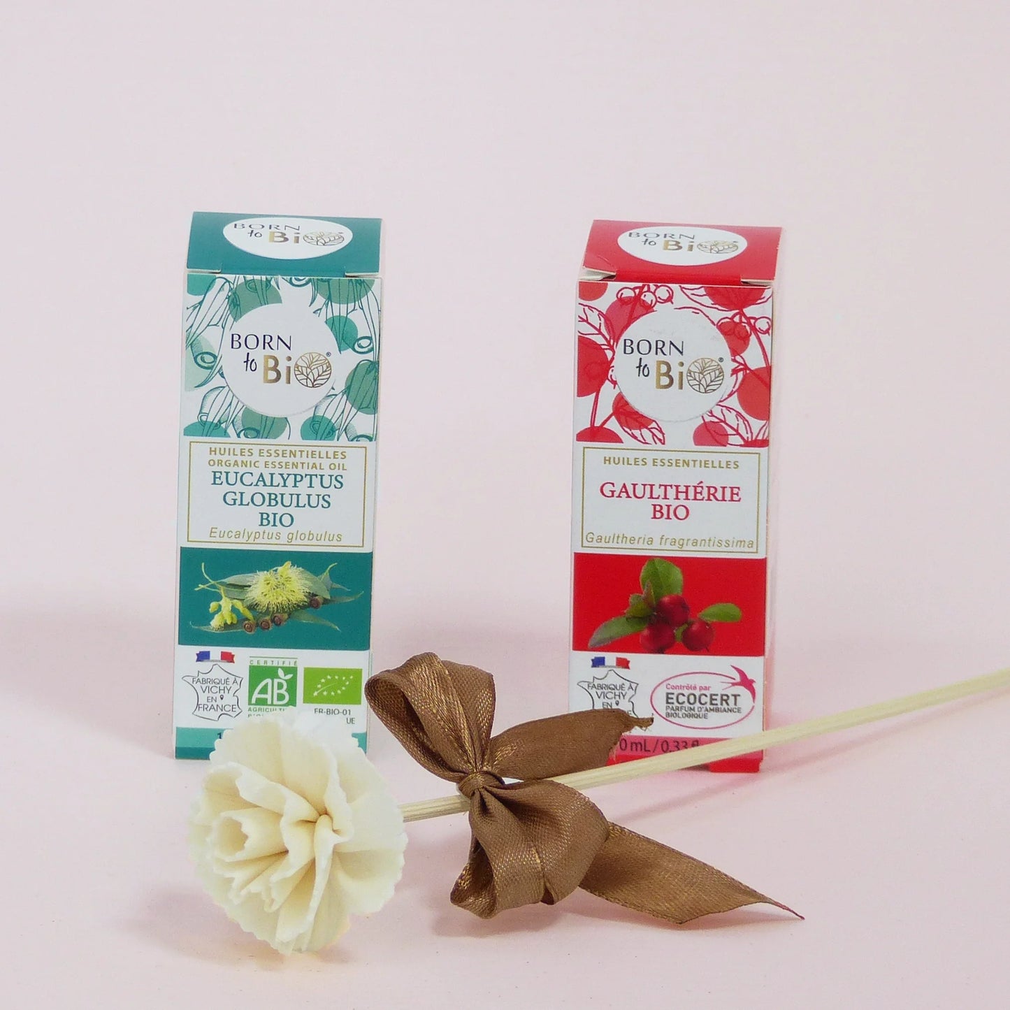 Organic Eucalyptus globulus essential oil-1