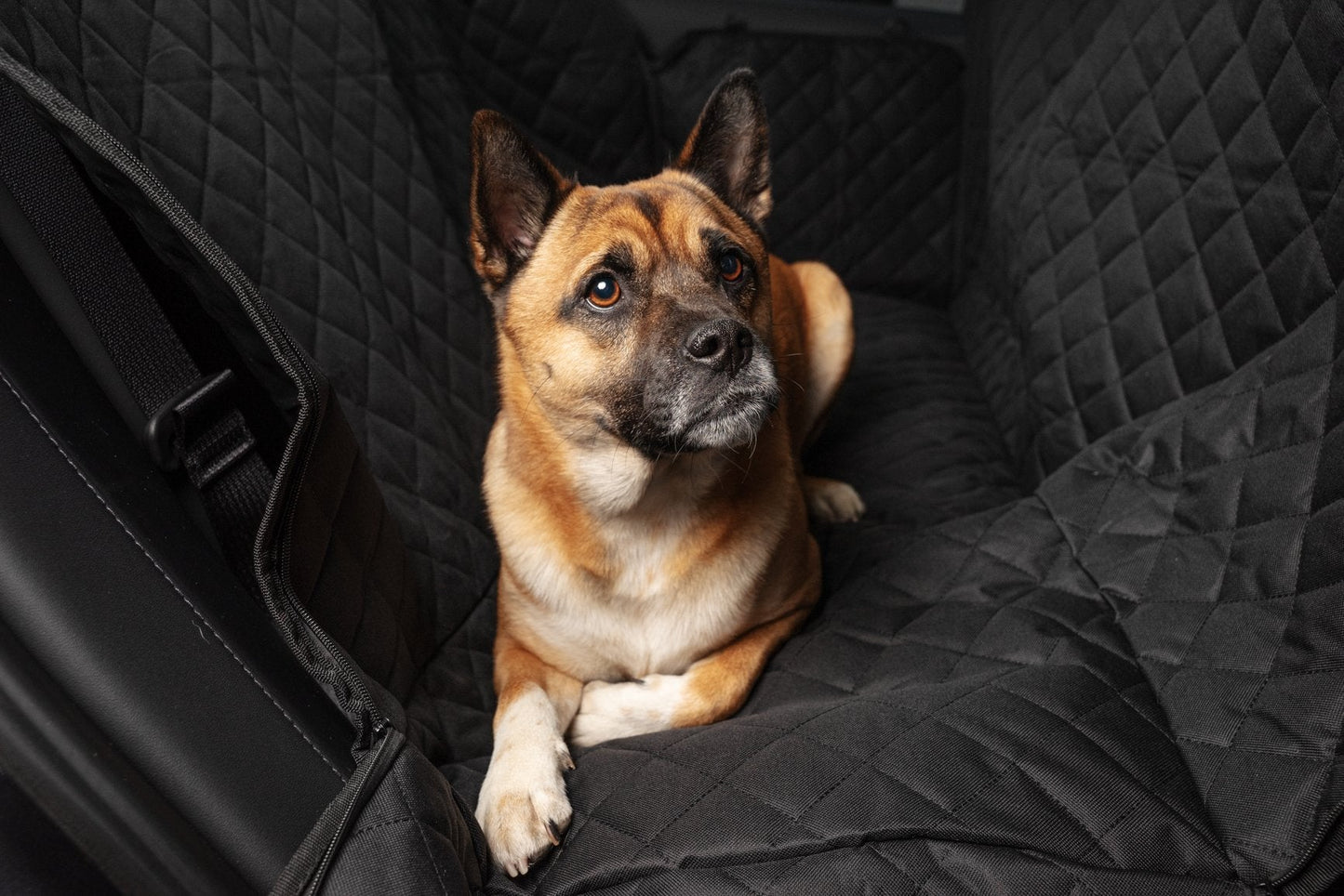 Hundematte für die Rückbank-1