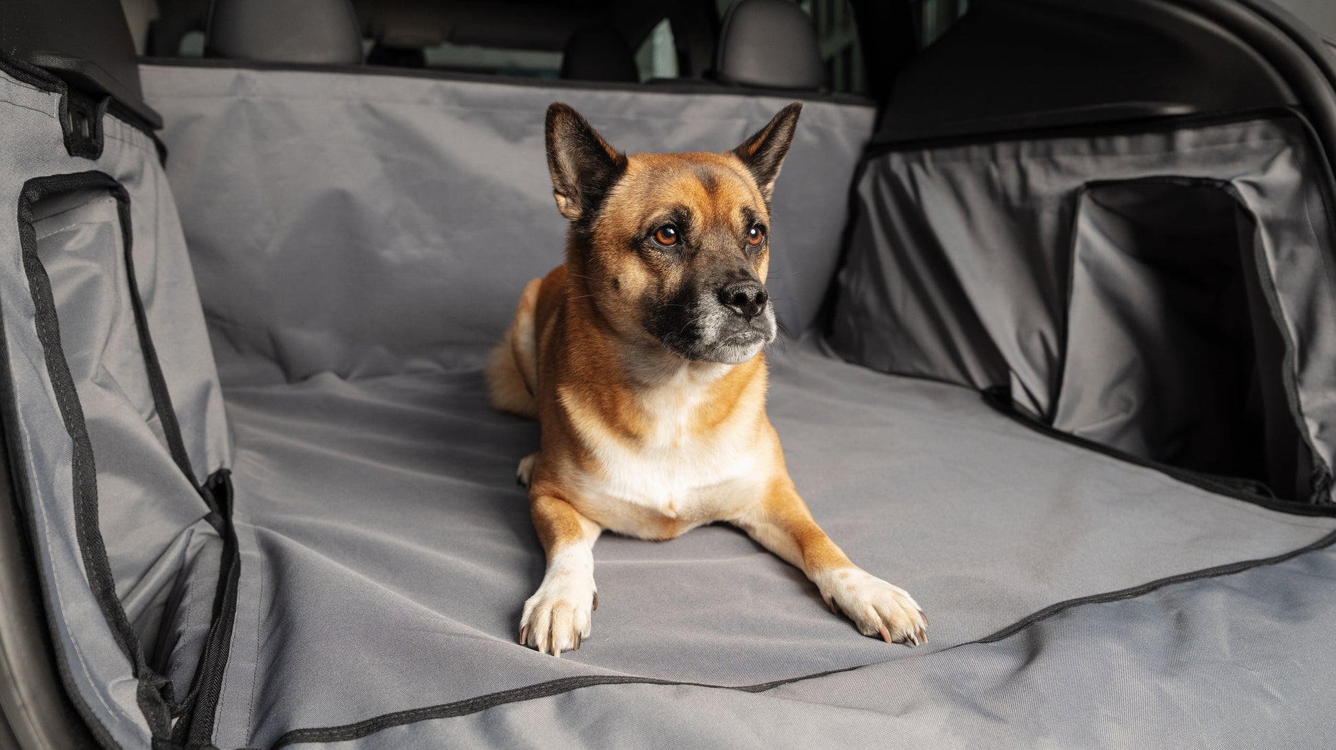 2befair Kofferraumschutz für Hunde, Alltag und Ladung – passend für das Tesla Model Y-1
