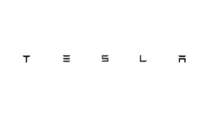 Tesla Schriftzug für alle Tesla Modelle-5
